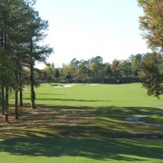 source: http://www.dogwoodtracegolf.com/