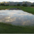 source:http://www.southfortygolf.com/SFGallery/#/content/scenery/cloudy%20pond.jpg/