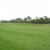 source: http://www.wildwoodmarshes.co/photo(1).htm
